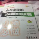 2016年小考必做的300道語文綜合應(yīng)用題