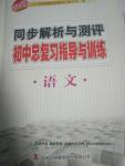 2016年同步解析與測評初中總復習指導與訓練語文