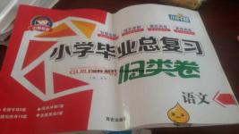 2016年小學畢業(yè)總復習歸類卷語文