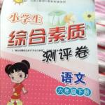 2016年小學(xué)生綜合素質(zhì)測(cè)評(píng)卷六年級(jí)語(yǔ)文下冊(cè)浙教版