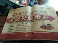 2016年小学升初中重点学校考前突破密卷语文