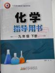 2015年化學(xué)指導(dǎo)用書九年級下冊