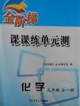 2016年金階梯課課練單元測(cè)九年級(jí)化學(xué)全一冊(cè)