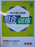 2017年通城學(xué)典初中語(yǔ)文閱讀組合訓(xùn)練中考版河南專版