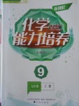 2016年新課程化學能力培養(yǎng)九年級上冊人教版D版