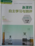 2016年新課程自主學(xué)習(xí)與測(cè)評(píng)初中化學(xué)九年級(jí)上冊(cè)人教版