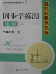 2016年海淀名師伴你學(xué)同步學(xué)練測九年級化學(xué)全一冊人教版