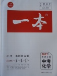 2017年一本中考化學(xué)