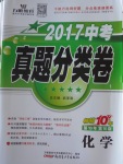 2017年中考真題分類卷化學(xué)第10年第10版