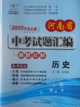 2017年河南省中考试题汇编精选31套历史