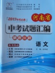 2017年河南省中考试题汇编精选31套语文