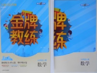 2016年金牌教練九年級數學上冊