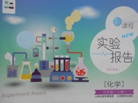 2016年新课程实验报告九年级化学上册沪教版