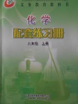 2016年化学配套练习册八年级上册山东教育出版社