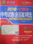 2017年春雨教育考必勝安徽省中考試卷精選語(yǔ)文