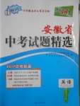 2017年天利38套中考試題精選英語(yǔ)安徽專版