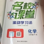 2017年名校課堂滾動學習法九年級化學下冊人教版