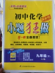 2017年初中化學小題狂做九年級下冊人教版提優(yōu)版