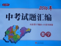 2017年正大图书中考试题汇编山东省17地市加13套全国卷数学