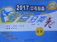 2017年中考必備考點分類卷化學(xué)