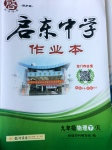 2017年啟東中學(xué)作業(yè)本九年級物理下冊人教版