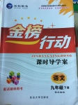 2017年金榜行動課時導(dǎo)學(xué)案九年級語文下冊蘇教版