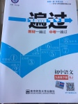 2017年一遍過(guò)初中語(yǔ)文九年級(jí)下冊(cè)蘇教版