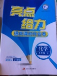 2017年亮點給力提優(yōu)課時作業(yè)本九年級化學下冊全國版
