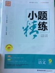 2017年通城學(xué)典小題精練九年級語文下冊蘇教版