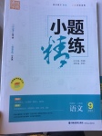 2017年通城學(xué)典小題精練九年級(jí)語(yǔ)文下冊(cè)人教版