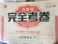 2017年新教材完全考卷九年級語文下冊河大版
