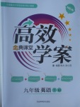 2017年高效學(xué)案金典課堂九年級英語下冊人教版