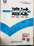 2017年一遍過初中語文九年級下冊人教版