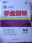 2017年一線調研學業(yè)測評九年級英語下冊人教版