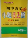 2017年初中語文小題狂做九年級下冊江蘇版提優版