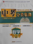 2017年中考分類集訓(xùn)數(shù)學(xué)