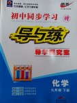 2017年初中同步學習導與練導學探究案九年級化學下冊