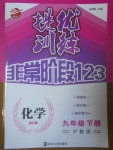 2017年提優訓練非常階段123九年級化學下冊滬教版