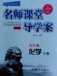 2017年名師課堂導(dǎo)學(xué)案九年級(jí)化學(xué)下冊(cè)