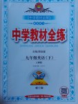 2017年中學教材全練九年級英語下冊人教版