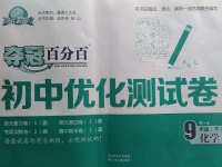 2017年奪冠百分百初中優(yōu)化測試卷九年級化學下冊人教版