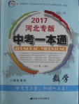 2017年中考一本通數(shù)學(xué)河北專版