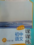 2017年课课练初中语文九年级下册苏教版