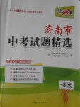 2017年天利38套濟(jì)南市中考試題精選語文