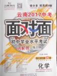 2017年云南中考面對面化學第13年第13版