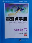 2017年重难点手册九年级化学下册人教版