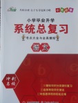 2017年北斗星小學(xué)畢業(yè)升學(xué)系統(tǒng)總復(fù)習(xí)語文