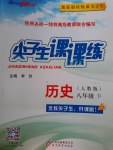 2017年尖子生課課練八年級(jí)歷史下冊(cè)人教版