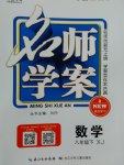 2017年名師學(xué)案八年級數(shù)學(xué)下冊湘教版