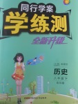 2017年同行學案學練測八年級歷史下冊岳麓版